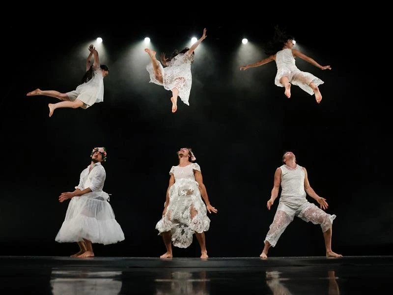 Spectacle de cirque - Orphées