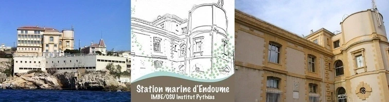 Conférence "gesticulée" à la Station Marine d'Endoume pour les 