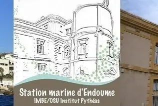 Conférence "gesticulée" à la Station Marine d'Endoume pour les 