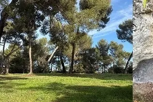Nouvelle rando racontée "La Maurelle, sa future coulée verte, 