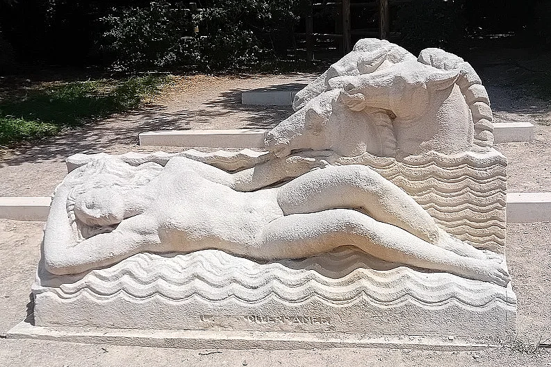 Image 6