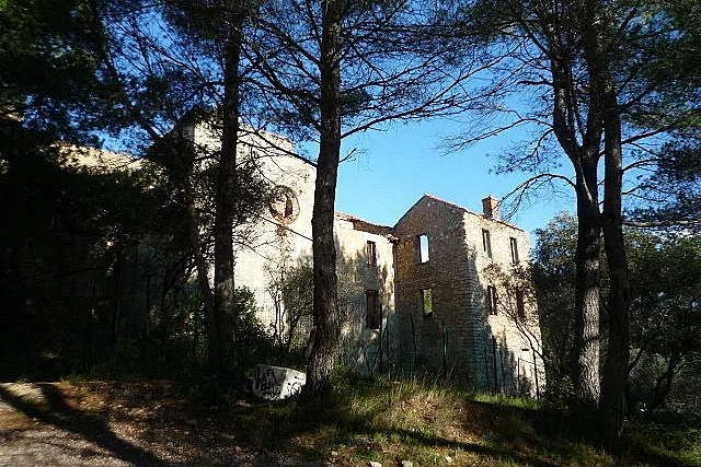 Image 4