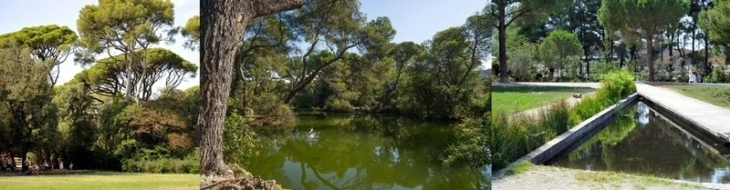Balade facile dans la forêt de Pastré, avec Myriam 