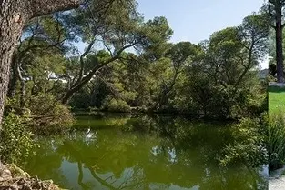 Balade facile dans la forêt de Pastré, avec Myriam 