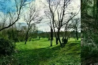 Randonnée racontée "Les berges sauvages de la rivière le Jarret 