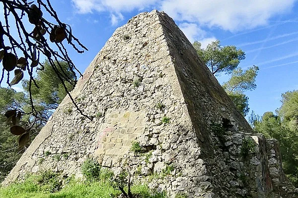 Image 6