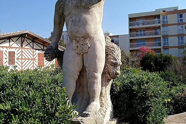 Image 5