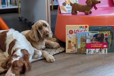 Lire avec les chiens