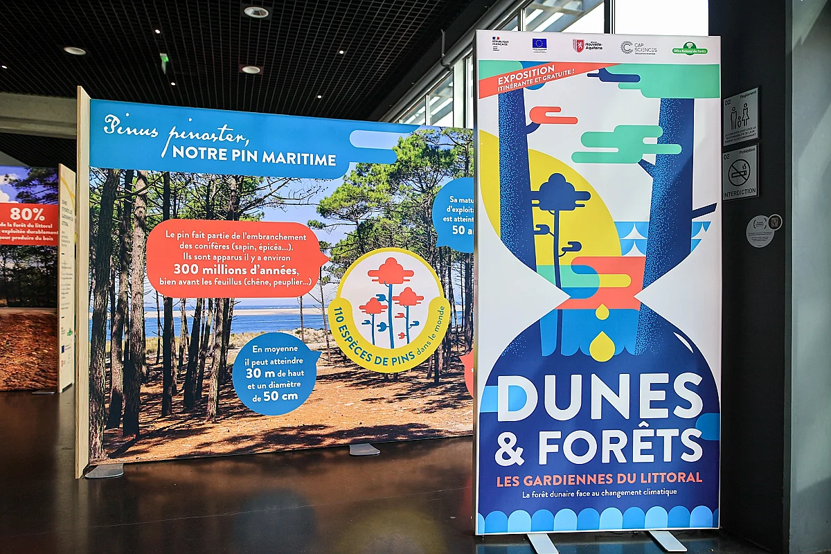 Exposition "Dunes et forêts, les gardiennes du littoral" - ONF, Cap Sciences, Région Nouvelle-Aquitaine