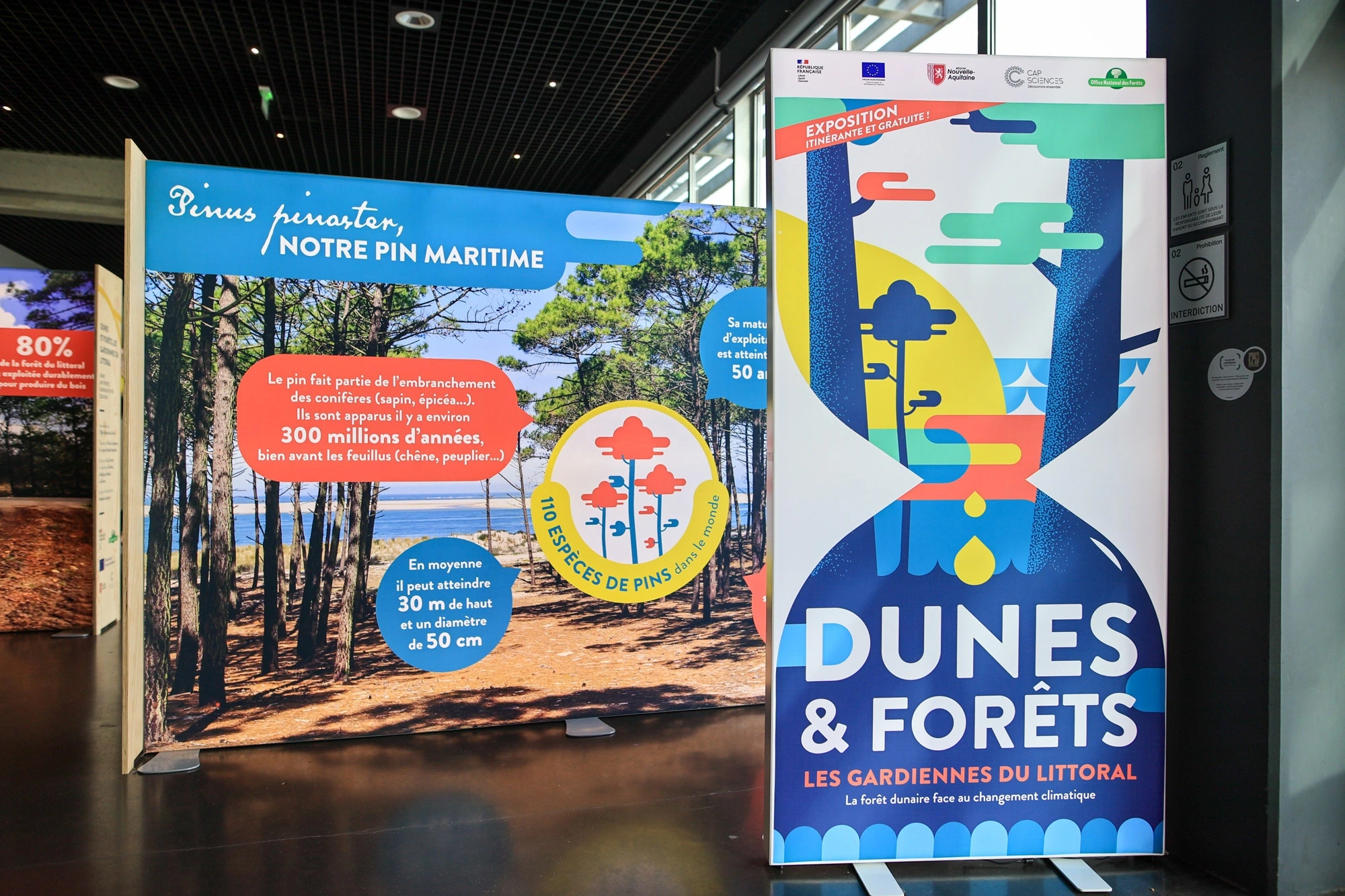 Exposition "Dunes et forêts, les gardiennes du littoral" - ONF, Cap Sciences, Région Nouvelle-Aquitaine