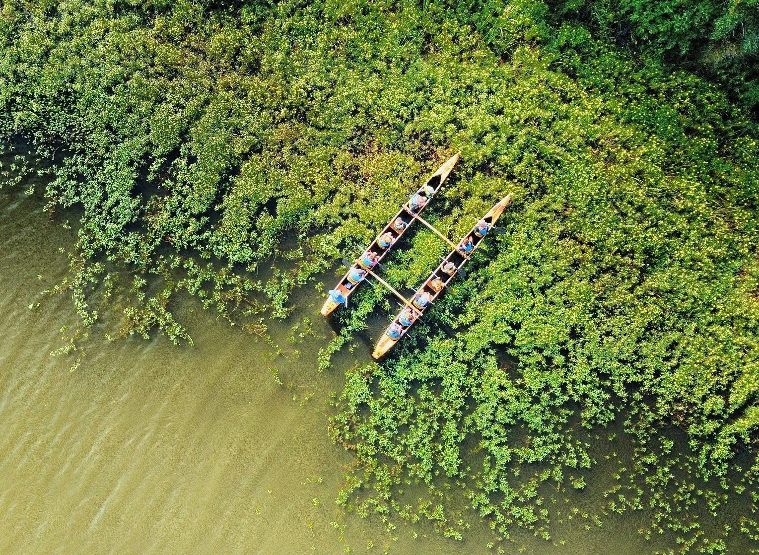 Balade nature en pirogue hawaïenne