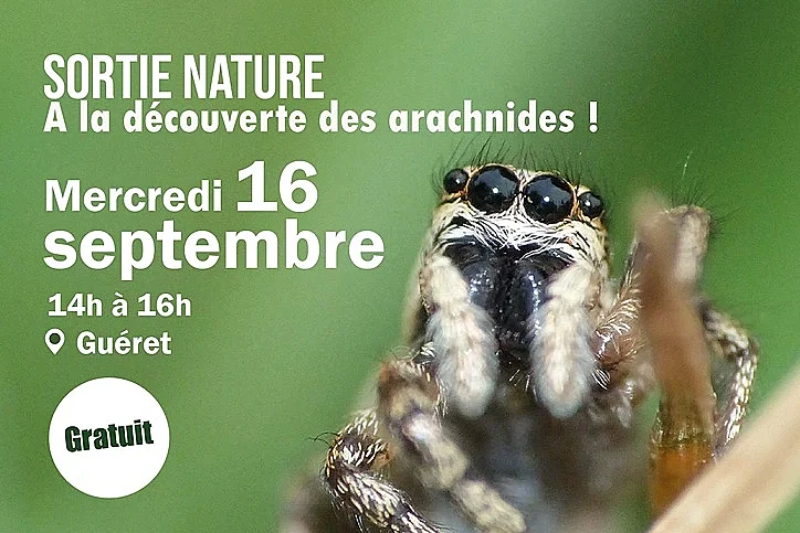 Animation nature : A la découverte des archnides !