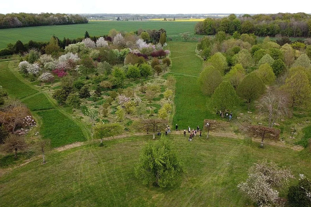 Stage "Réussir l'aménagement paysager autour de sa maison, dans le contexte climatique actuel" à l'Arboretum de la Petite Loiterie à Monthodon - Le Sentier