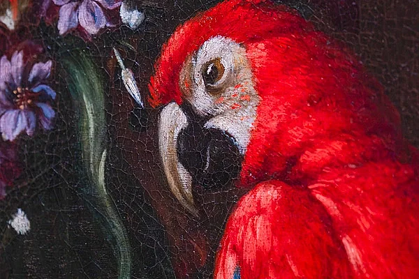 Visite éveil "Gaio, le perroquet haut en couleurs"