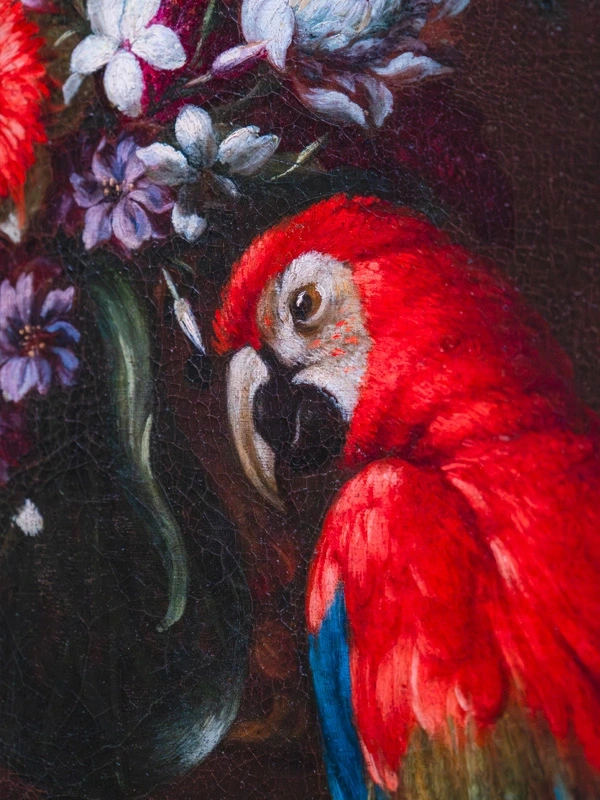 Visite éveil "Gaio, le perroquet haut en couleurs"