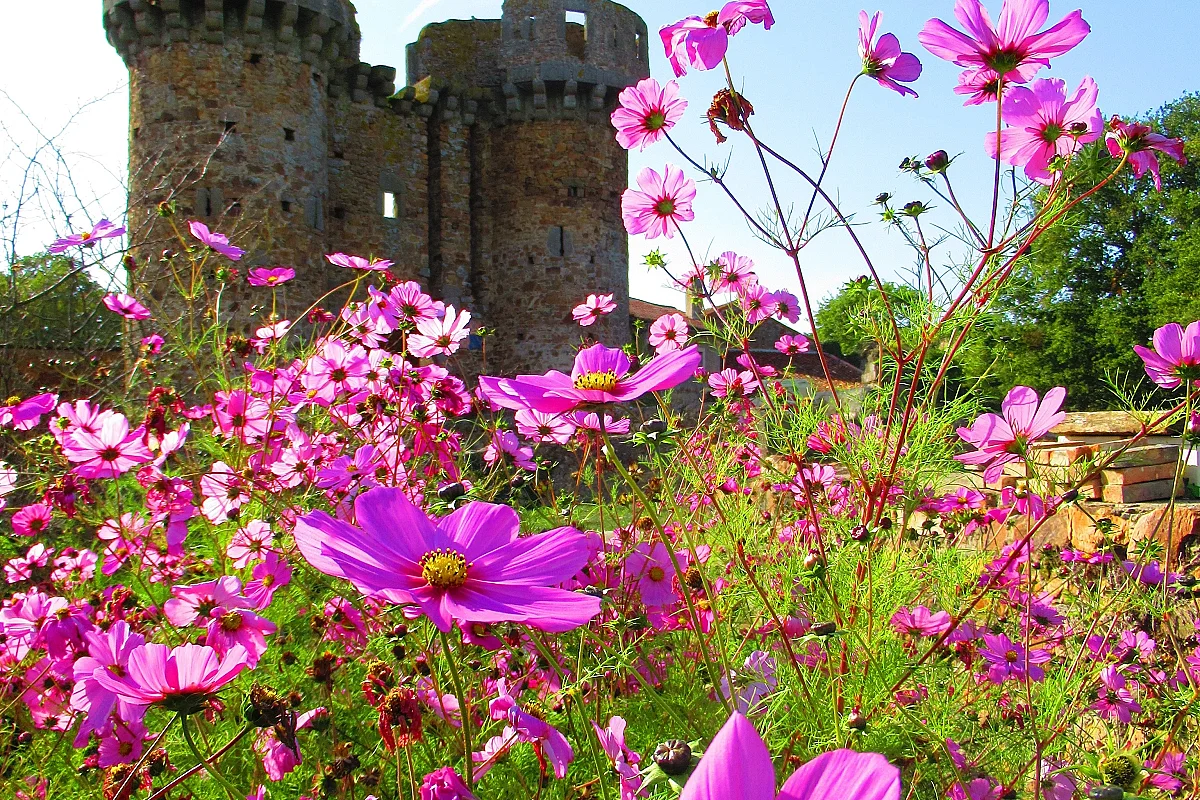 Journées du Patrimoine - Château de Sanzay