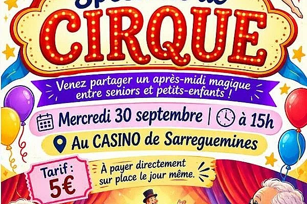 Spectacle de Cirque