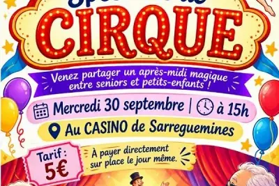 Spectacle de Cirque