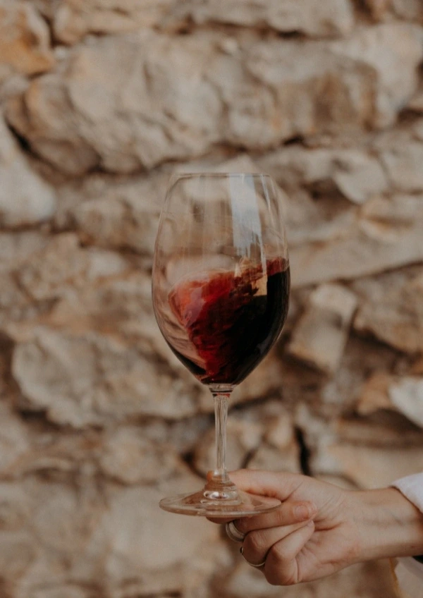 Atelier dégustation au château de Haute-Serre : découverte du Malbec