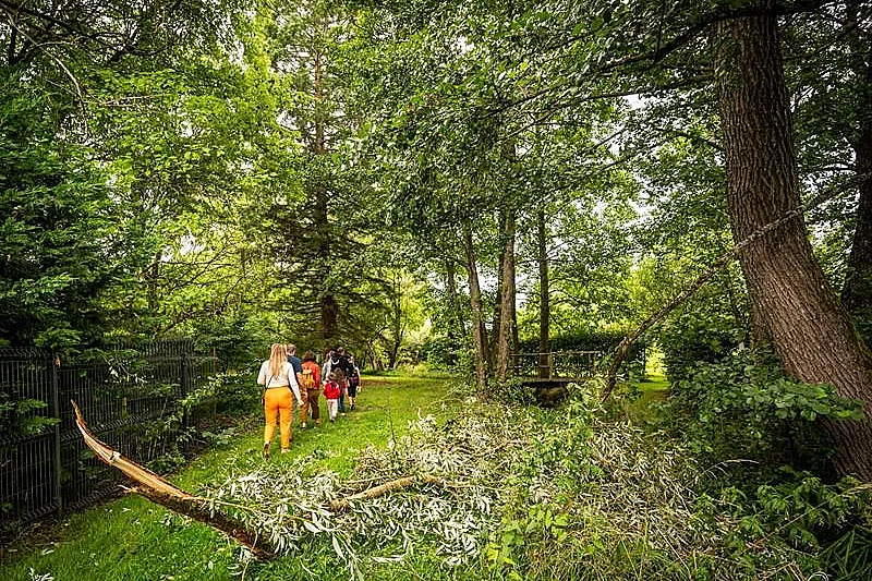 Un voyage conté au cœur du marais de Valette