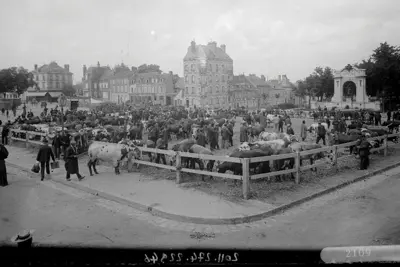 Chartres, douze arrêts sur mémoire – Bicentenaire de la photographie