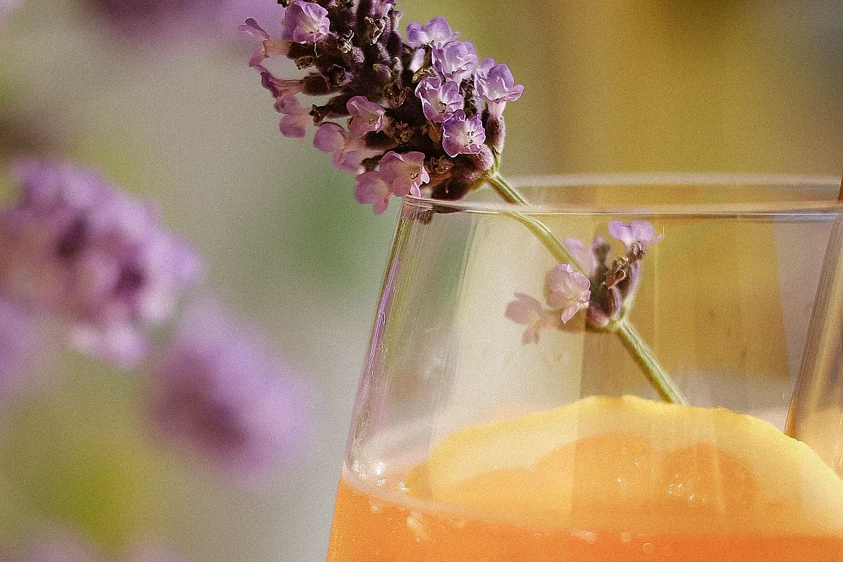 Atelier boissons gazeuses naturelles