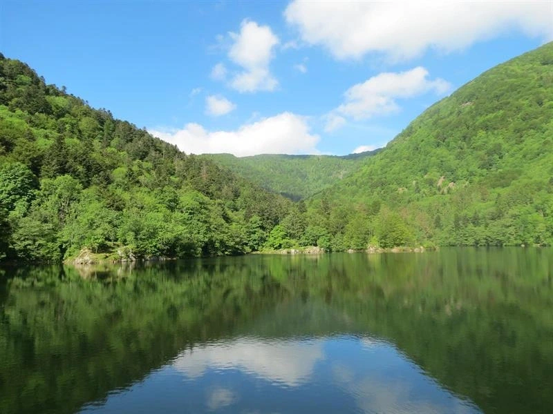 Balade : L'eau sculpteur de paysages
