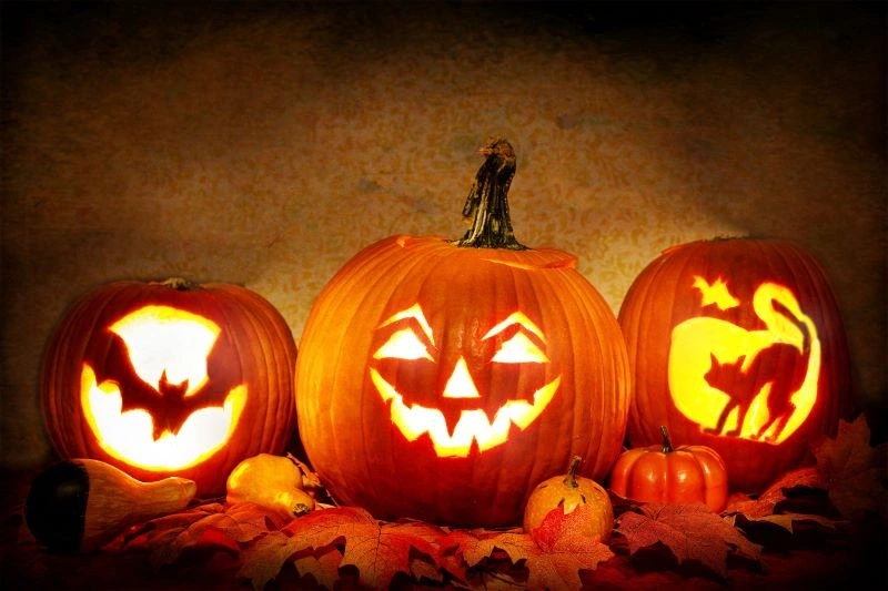 La monstrueuse visite : spéciale Halloween pour les familles