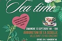 Tea time