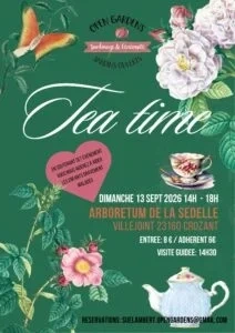 Tea time