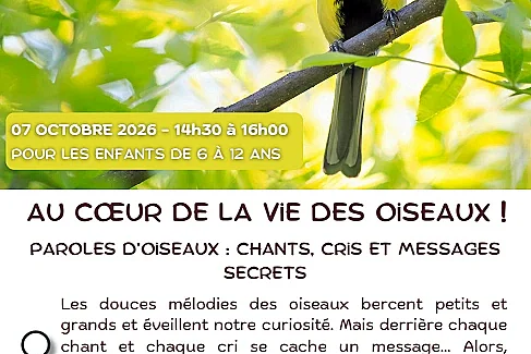 NATURE EN TÊT: AU COEUR DE LA VIE DES OISEAUX!