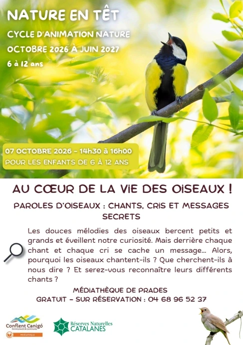 NATURE EN TÊT: AU COEUR DE LA VIE DES OISEAUX!
