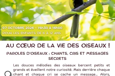NATURE EN TÊT: AU COEUR DE LA VIE DES OISEAUX!