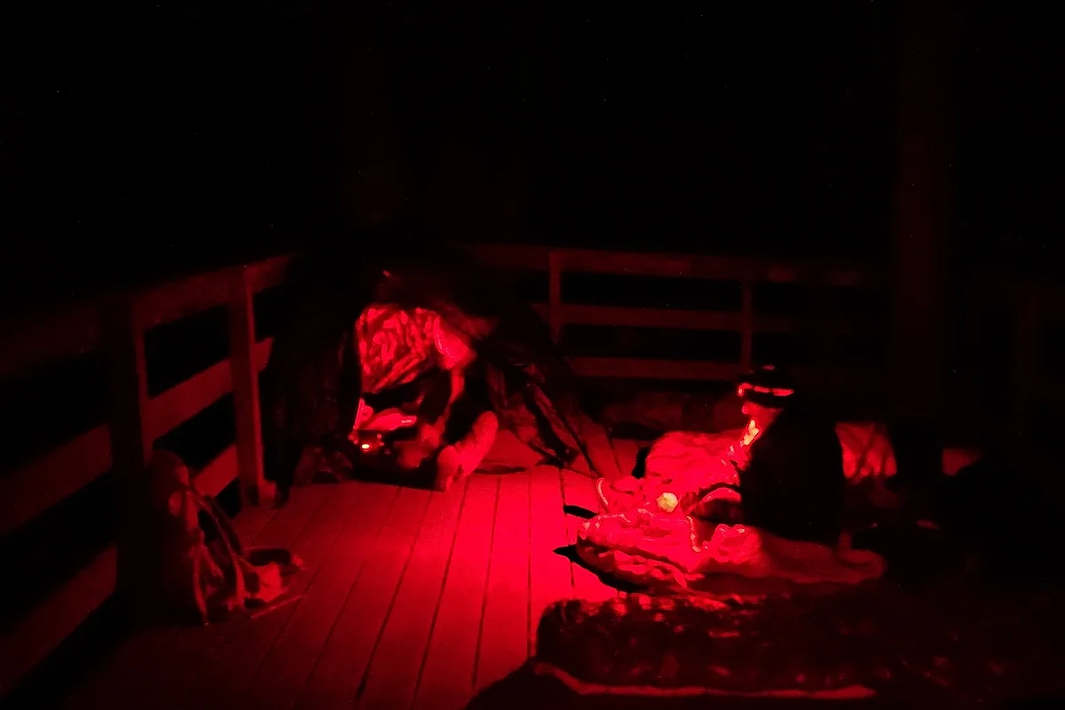 NUIT DU BRAME DU CERF