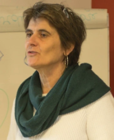 Conférence - La robustesse
