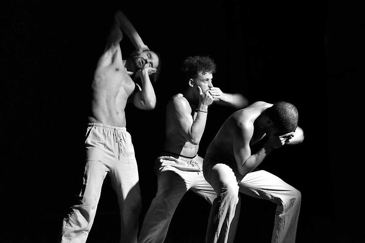 Spectacle "Les 3 singes"