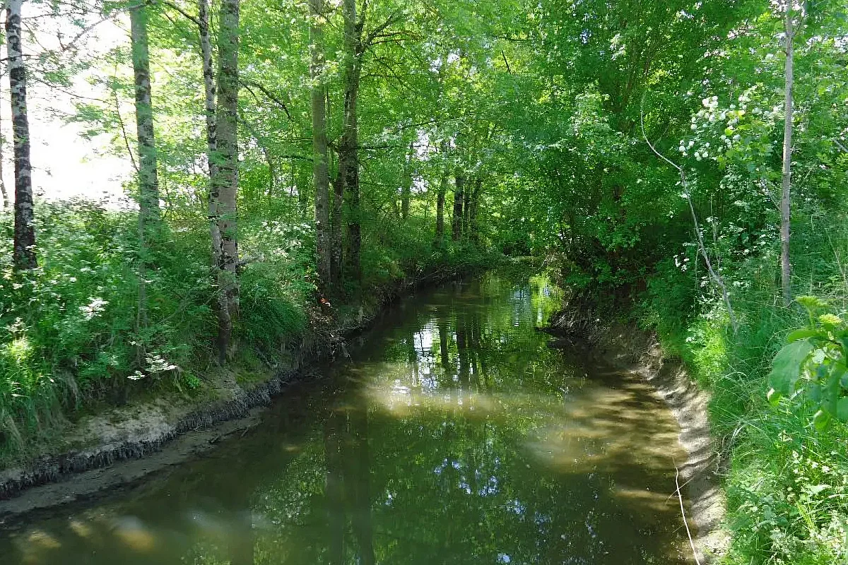 Journées Européennes du Patrimoine 2026 - Exposition Le Dropt, entre patrimoine naturel et historique