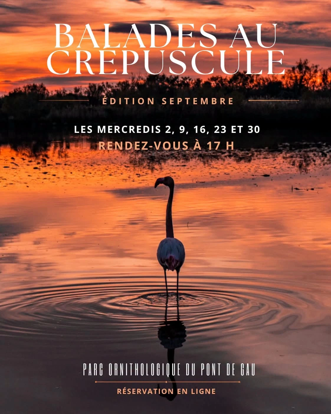Balades au crépuscule - Edition septembre 2026
