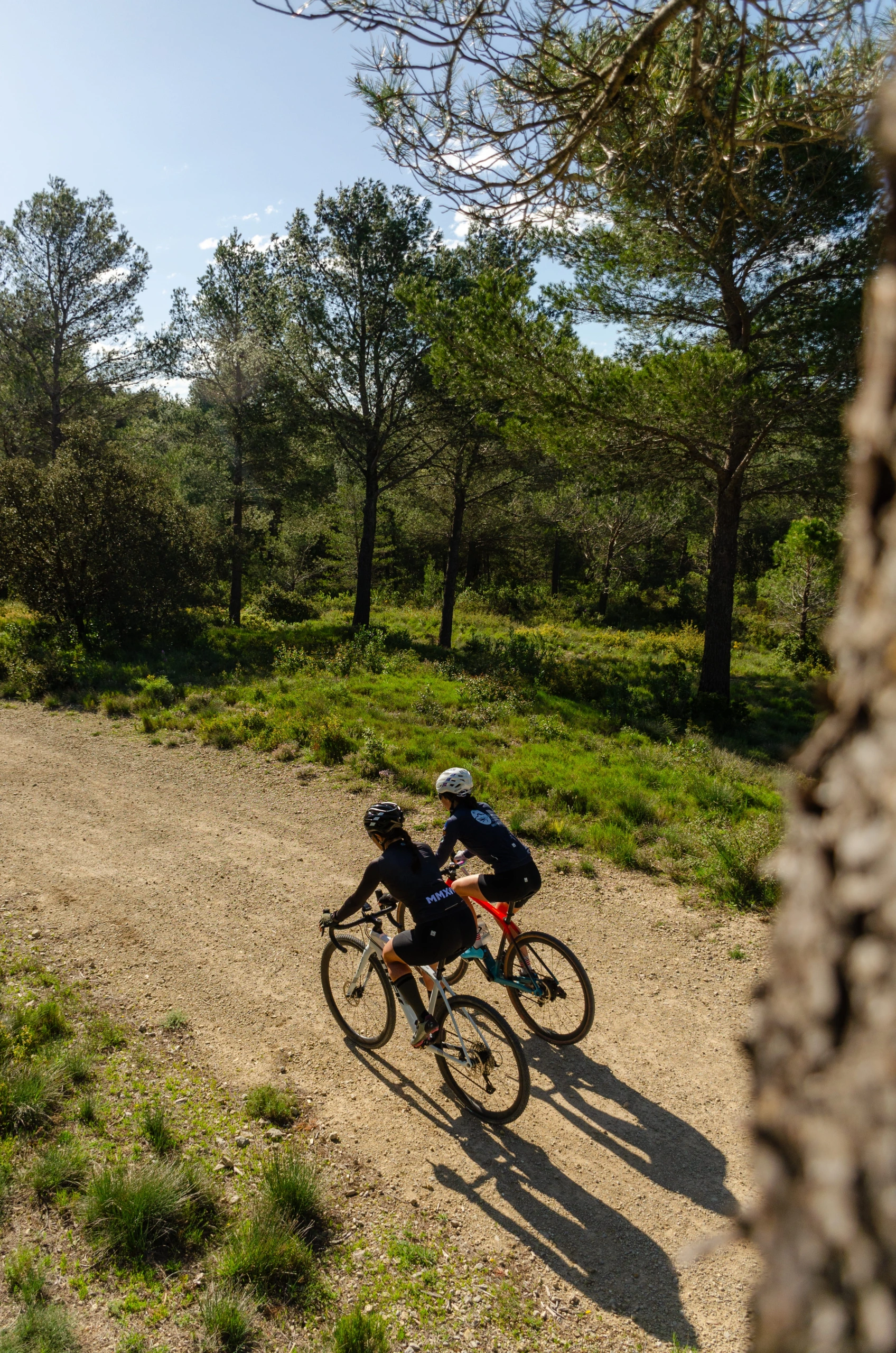 Sortie vélo : Rallye vélo du Parc des Alpilles