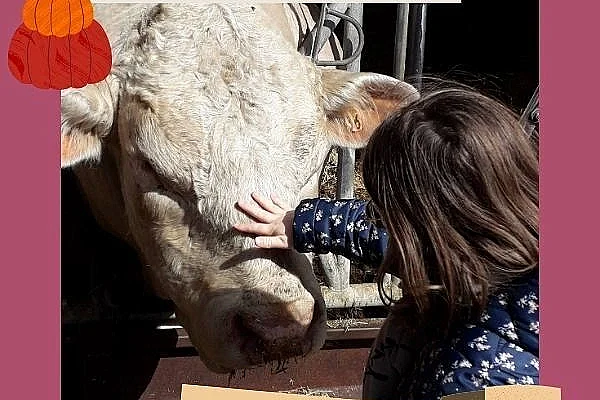 Visite de la ferme des Trois cheminées