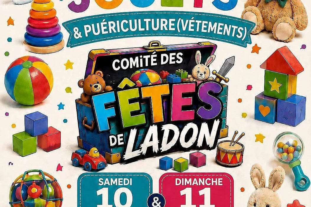 Vide-coffres à jouets