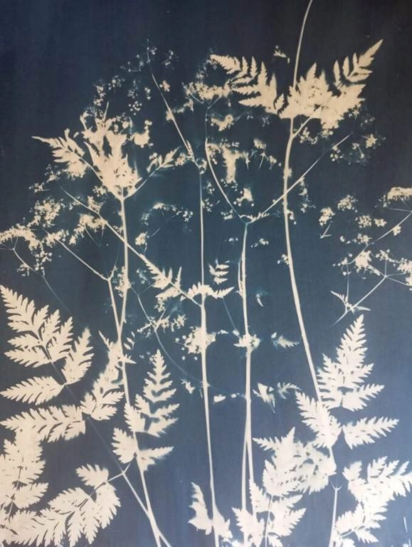 Atelier créatif Cyanotype