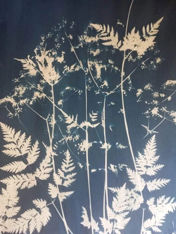 Atelier créatif Cyanotype