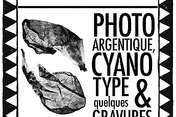 Exposition de Fiona Martin - Galerie du 11 rue de la Capelle