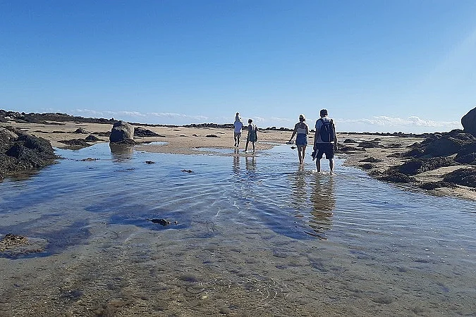 Chausey : Grandes Marées, histoire et découverte de l'estran