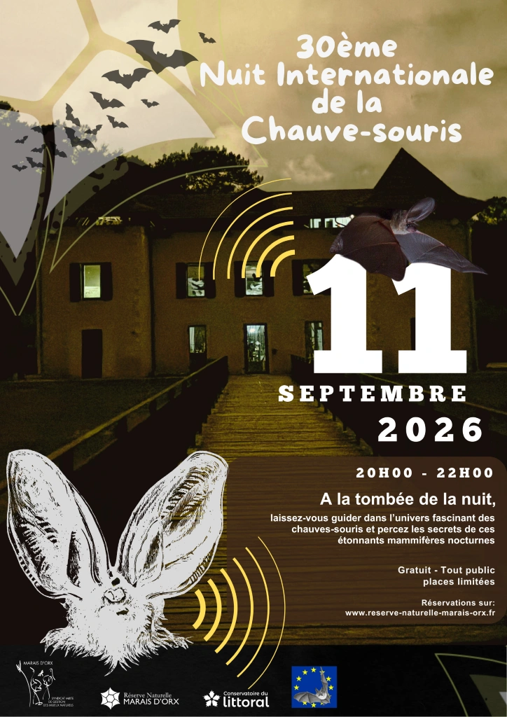 A la découverte des chauves-souris