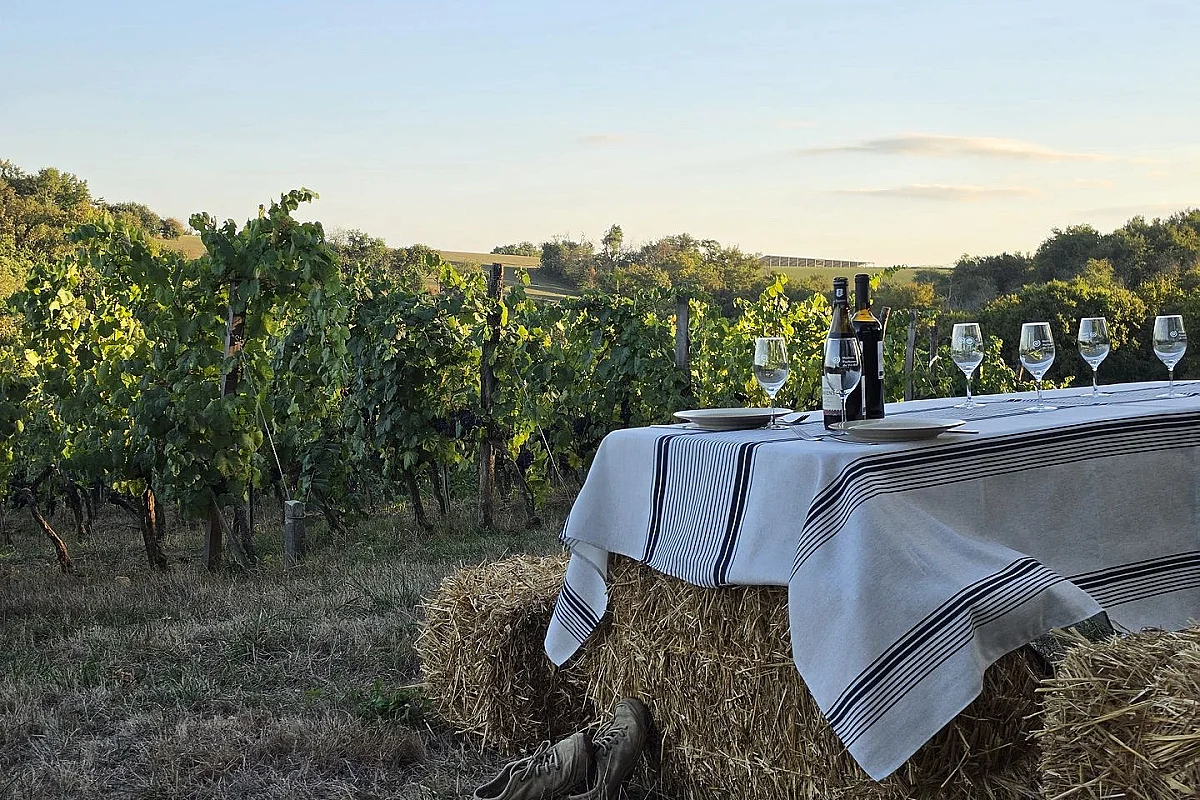 Vignobles en Scène "Banquet Vagabond et bal des Vivants", au Domaine Damiens