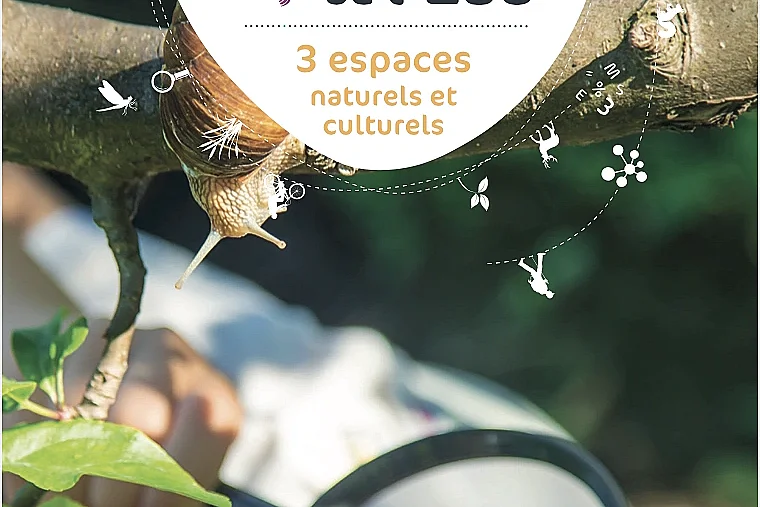 Nom d'un champignon !