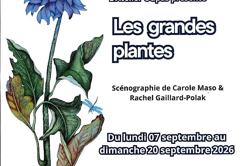 Exposition Les Grandes plantes