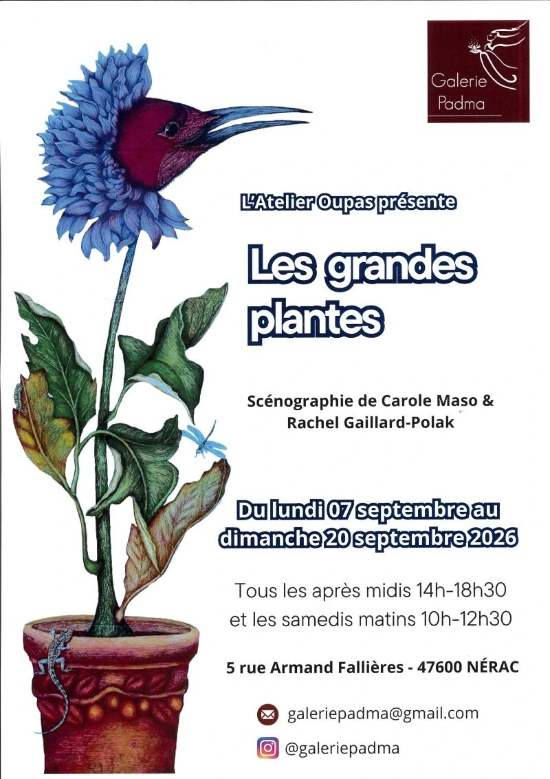 Exposition Les Grandes plantes